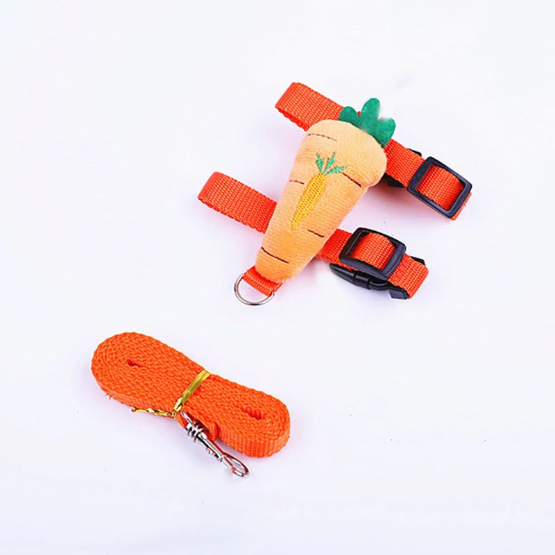 Carrot rabbit harness with matching orange leash