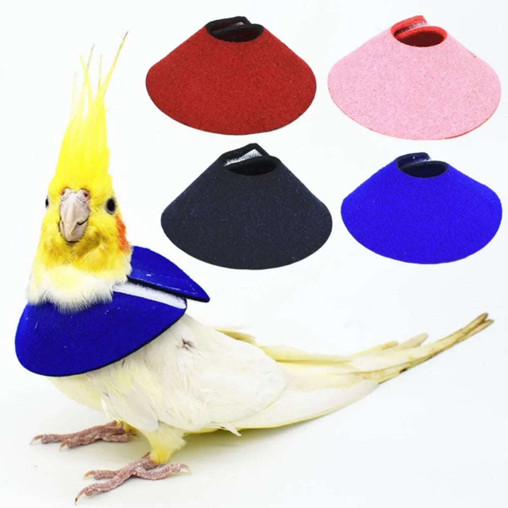 Adjustable Bird Anti-Bite Collar