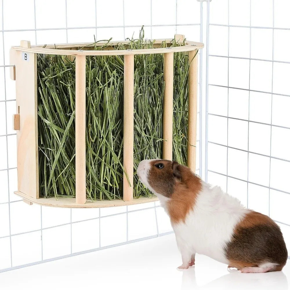 Wooden Hay Feeder for Rabbits & Guinea Pigs — in-use view
