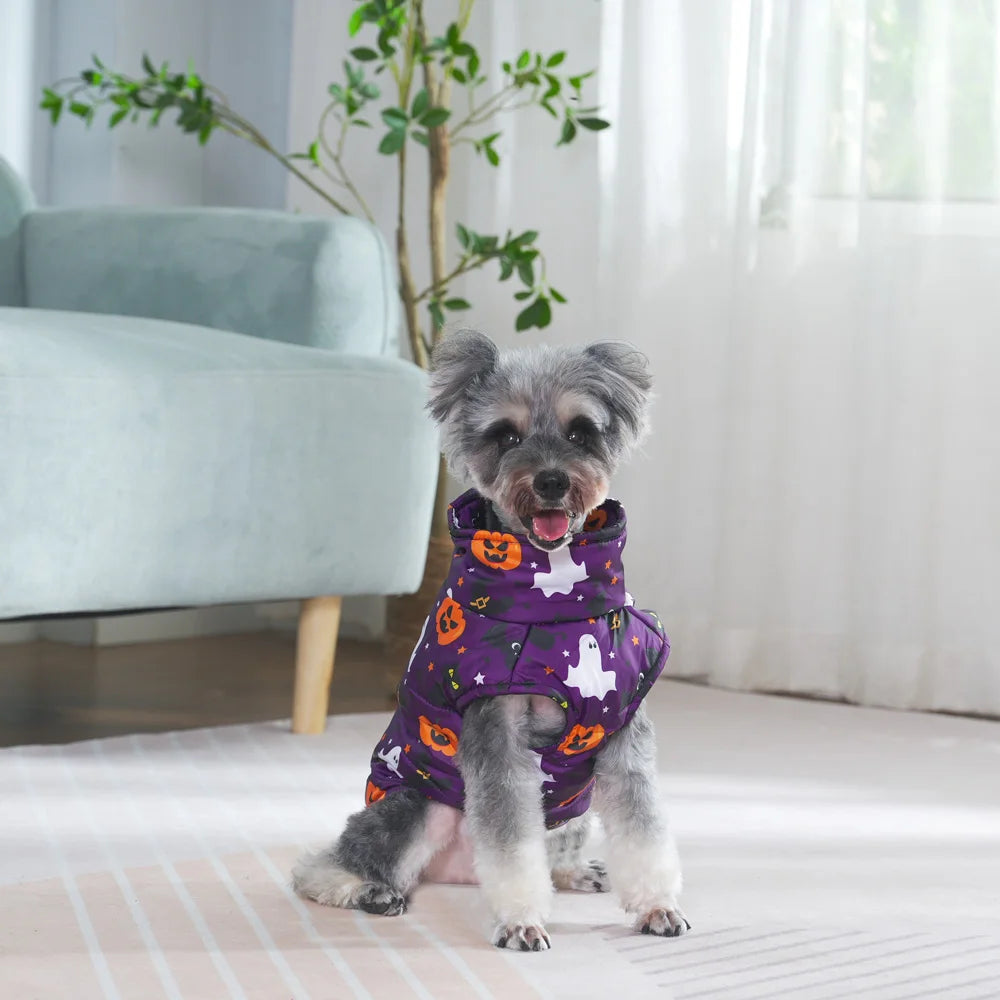 Dog wearing the Halloween fleece coat