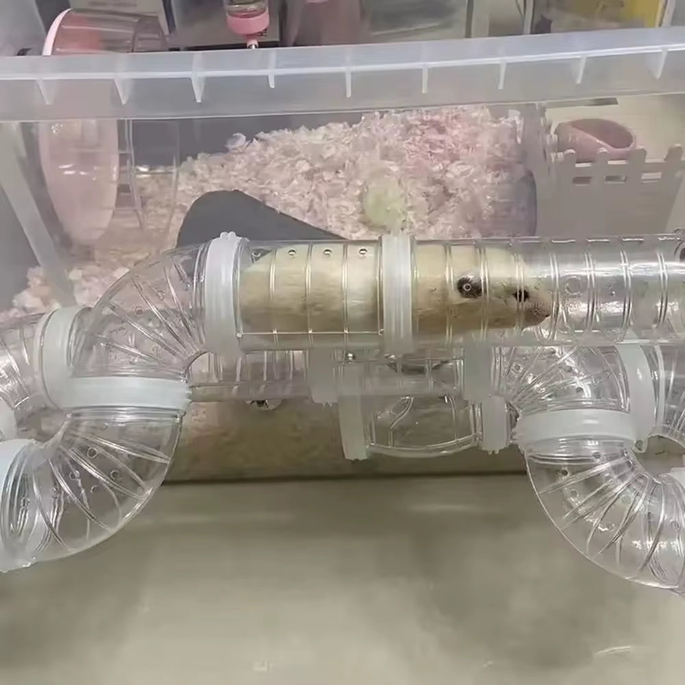 Hamster Pipeline Tunnel