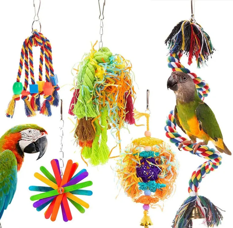 Parrot Toy Set