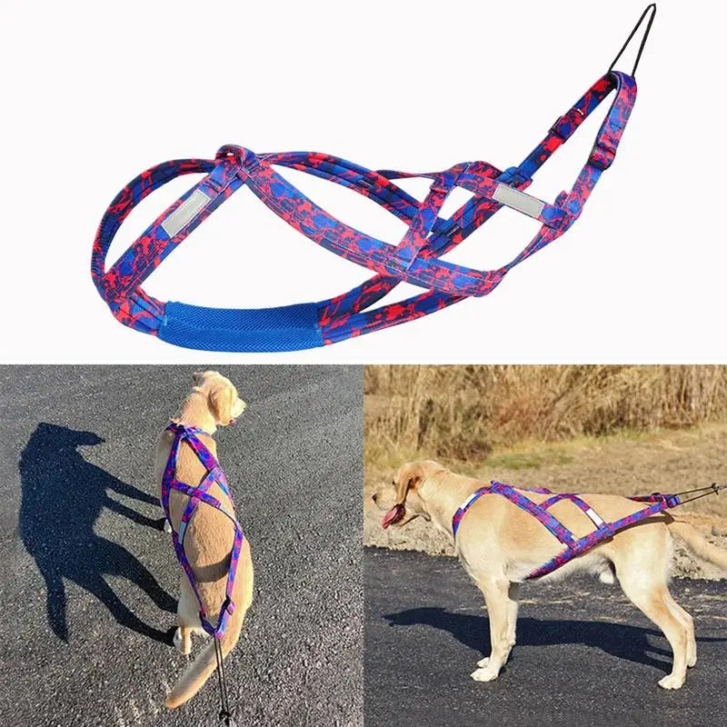 Dog Running Harness