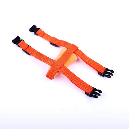 Adjustable orange small-pet harness straps