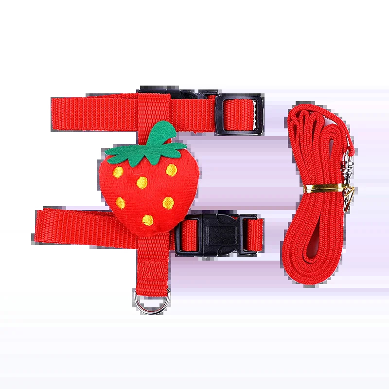 Strawberry harness and matching leash