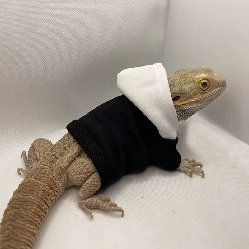 Bearded Dragon Costume 