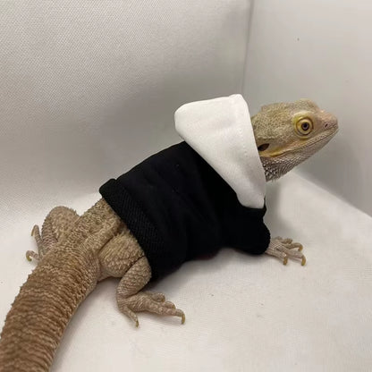 Bearded Dragon Costume 