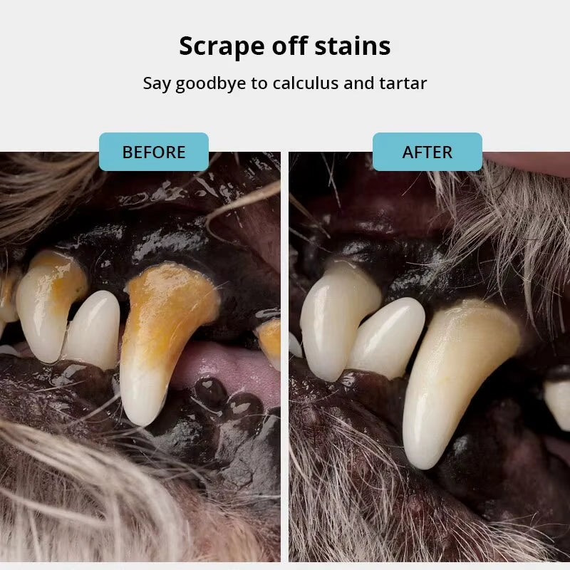 Ultimate Pet Dog Dental Care Tool - Stainless Steel Tooth Cleaner & Tartar Remover for Fresh Breath!