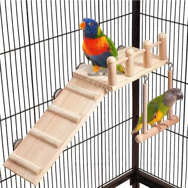Climbing Ladder and Swing 