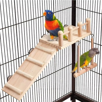 Climbing Ladder and Swing 