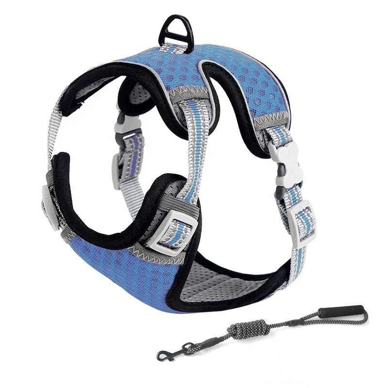 Cat Harness and Leash for Walking