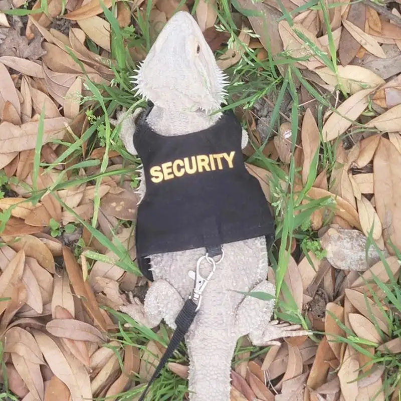 Reptile Harness and Leash 