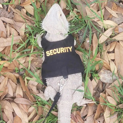 Reptile Harness and Leash 