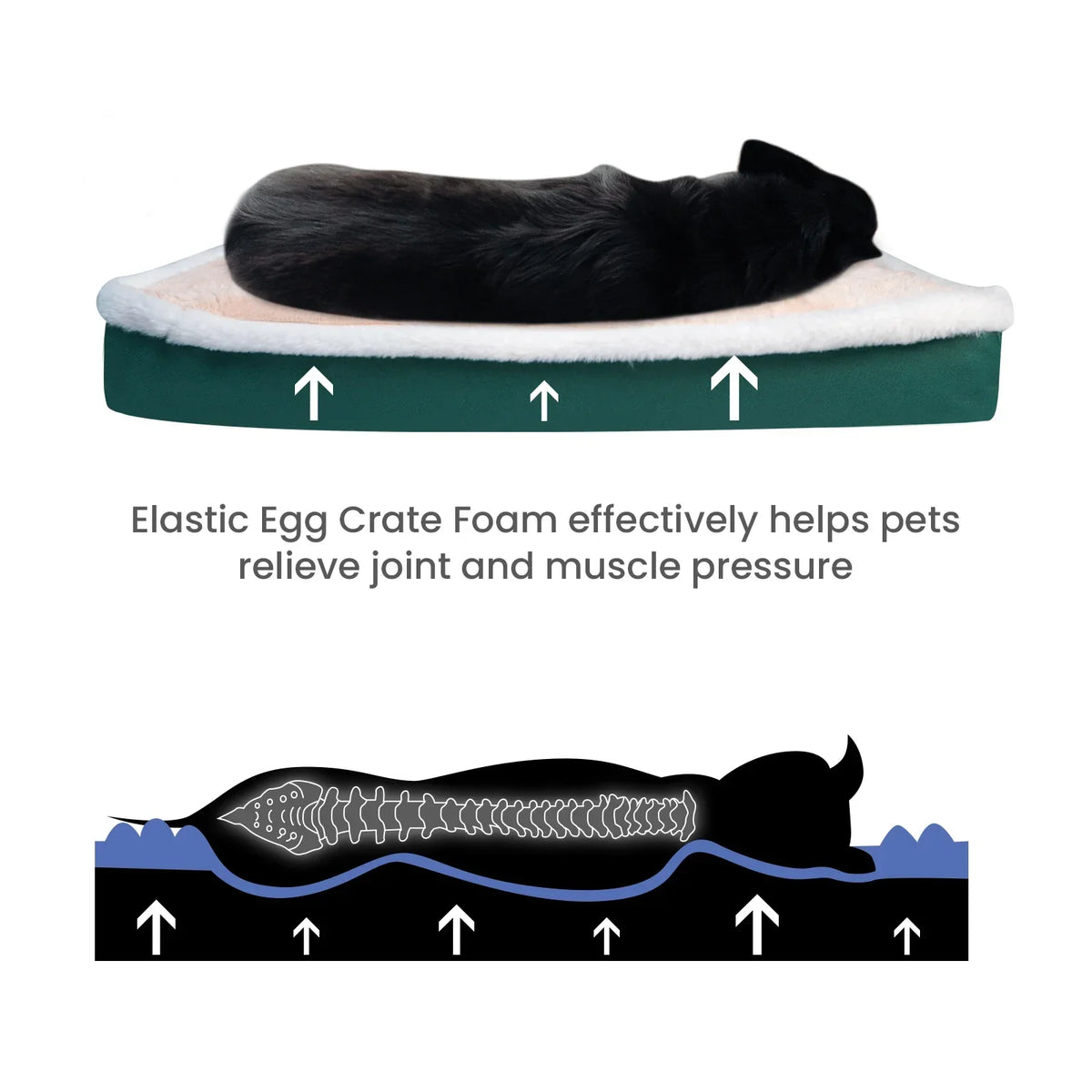 Ultra Plush Deluxe Orthopedic Foam Bed 