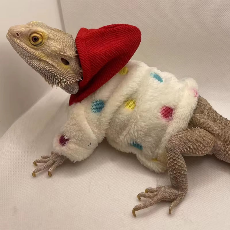 Bearded Dragon Costume 