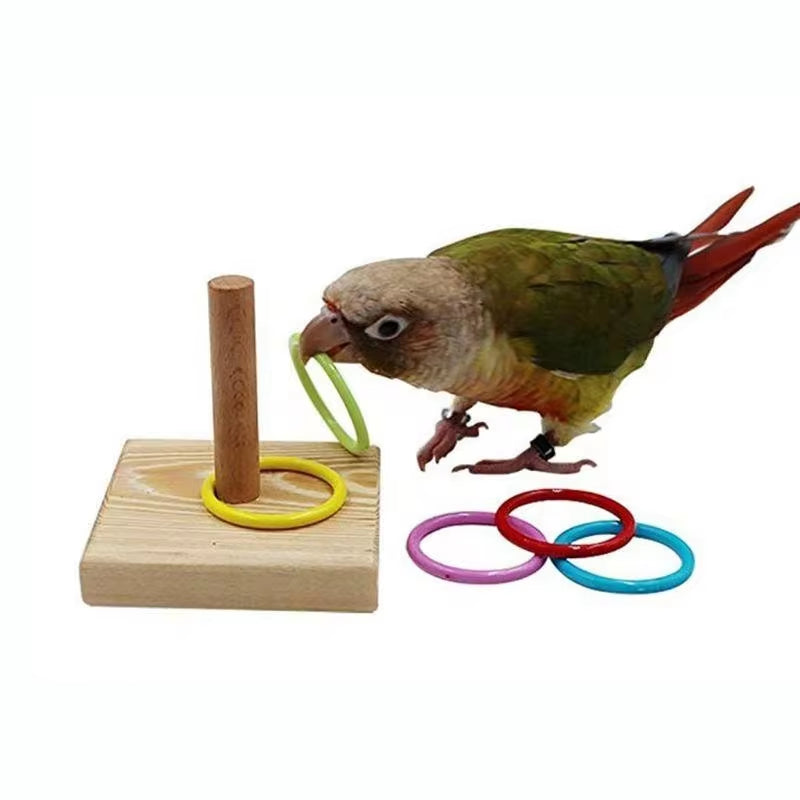 Interactive Bird Training Ring Toy for Parrots - Fun Educational Supplies in Random Colors