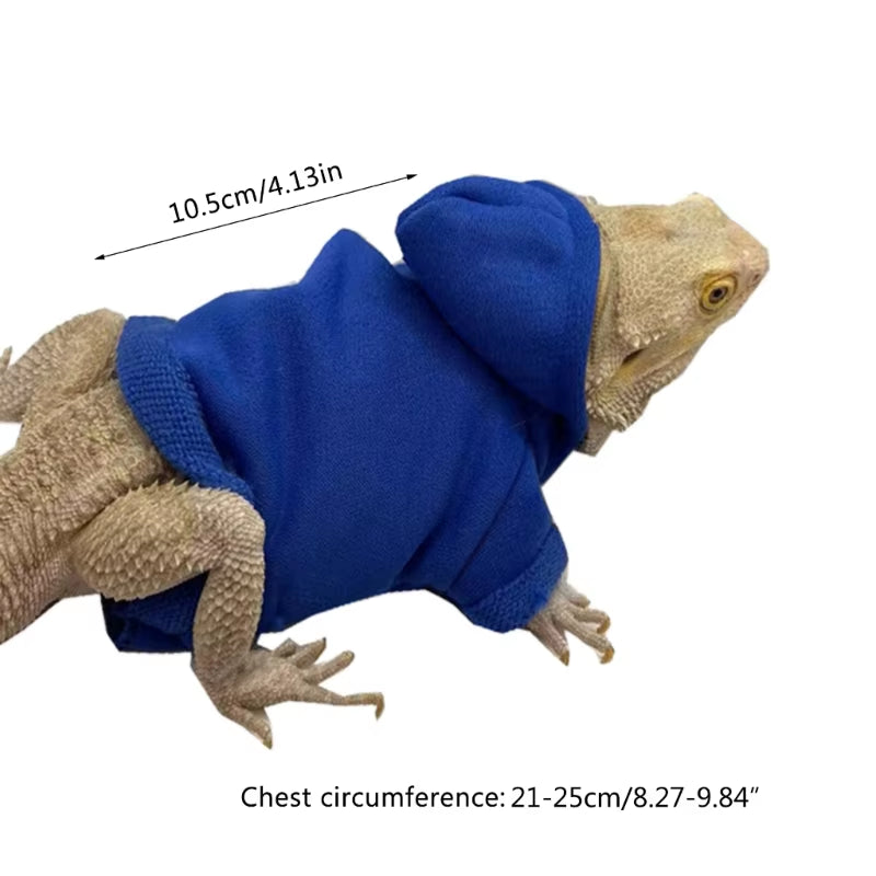Bearded Dragon Costume 