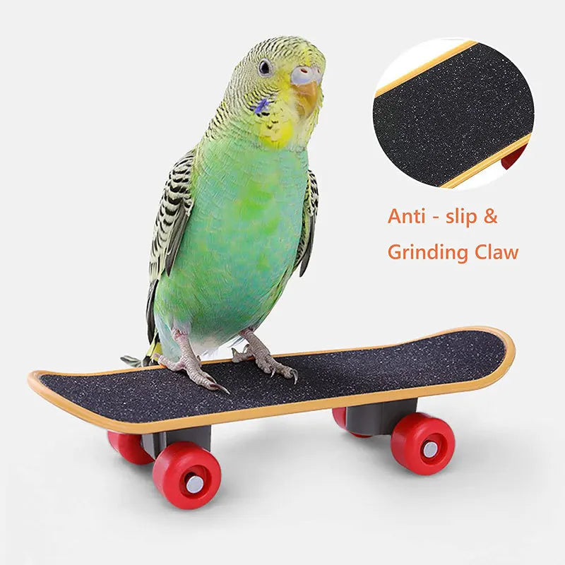 Parrot Toy Set