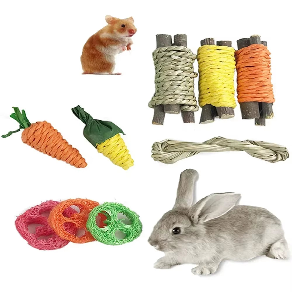 Small Pet Toy Set