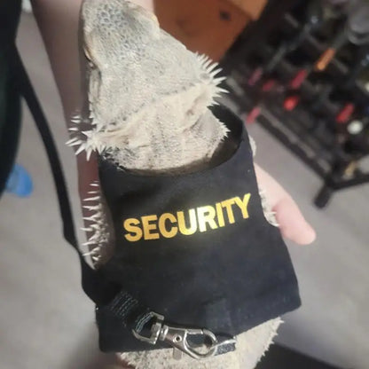 Reptile Harness and Leash 