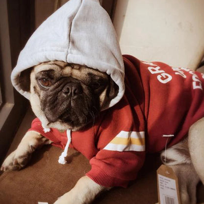 Hood and neckline detail on the dog hoodie