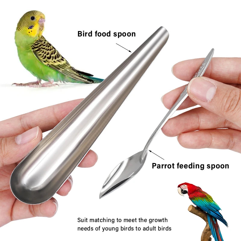 Bird Feeding Spoon 