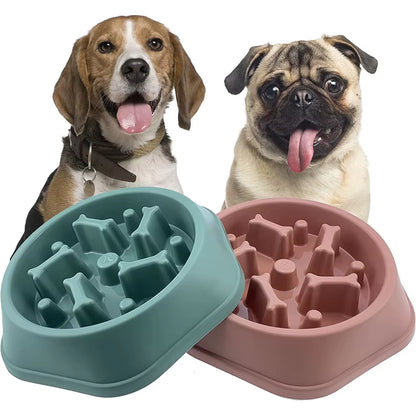 Slow Feeder Dog Bowl 