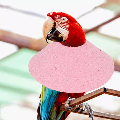 Adjustable Bird Anti-Bite Collar