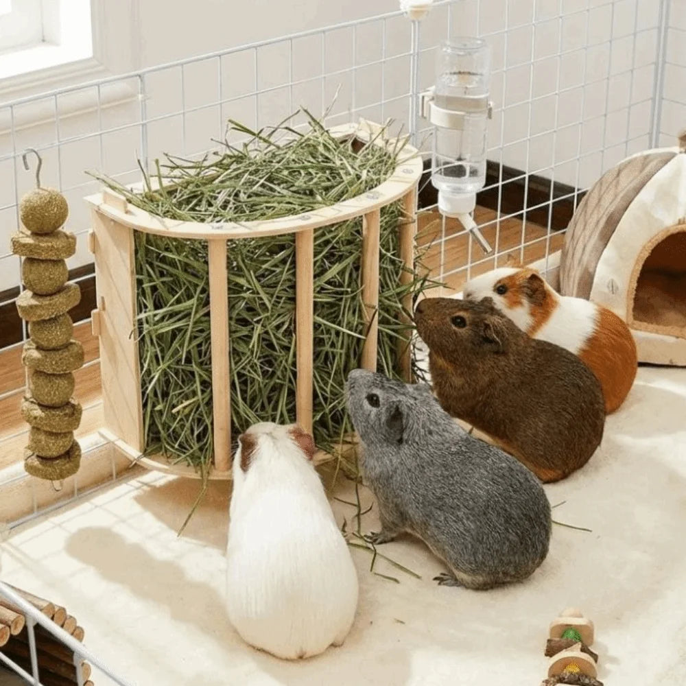 Wooden Hay Feeder for Rabbits & Guinea Pigs — close-up construction