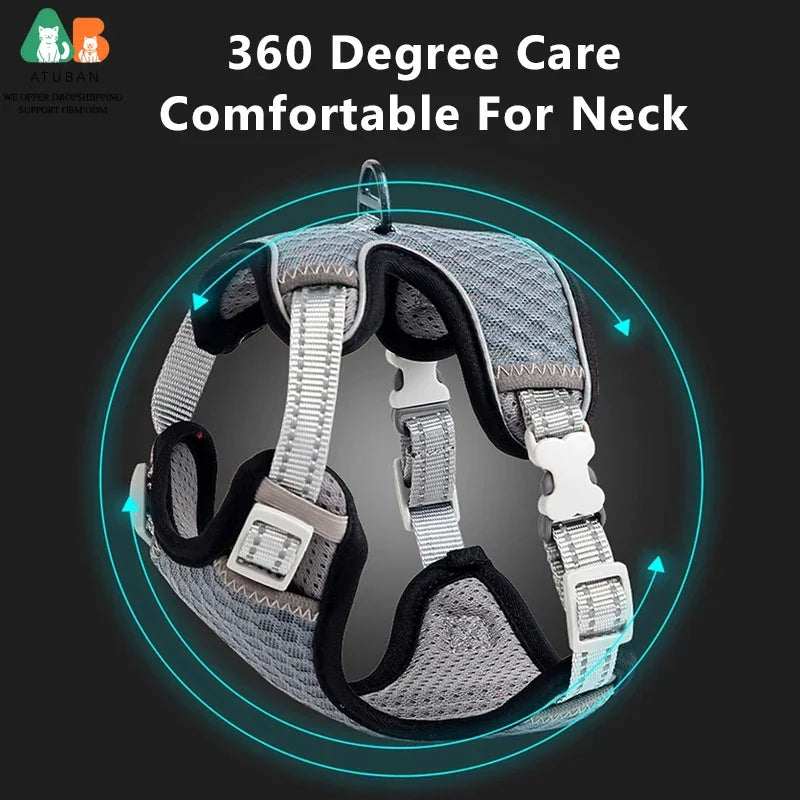 Cat Harness and Leash for Walking