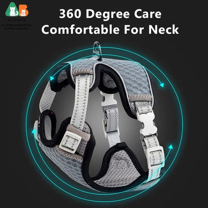 Cat Harness and Leash for Walking