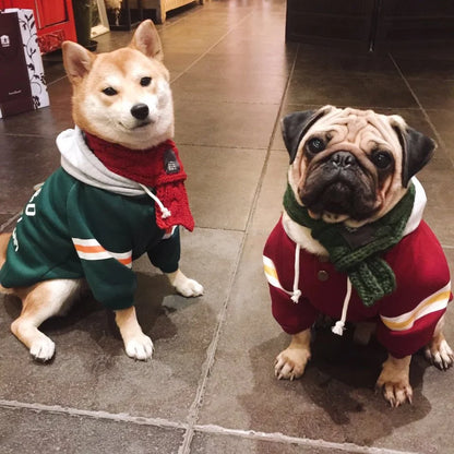 Dog wearing the red hoodie
