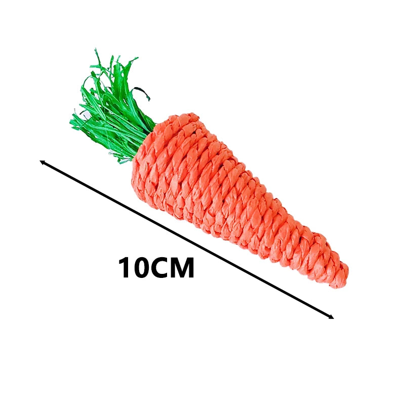 Small Pets Chew Toy 