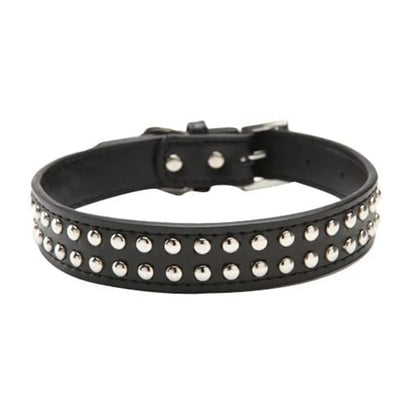 Metal studs and buckle on the wide dog collar