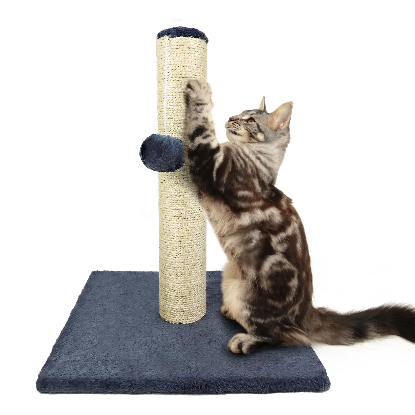 Cat Scratching Post