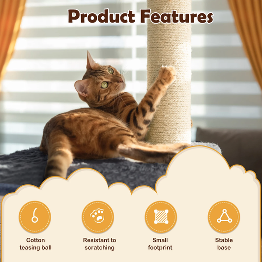 Cat Scratching Post