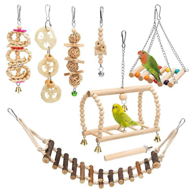 Toys for Parrot Training 