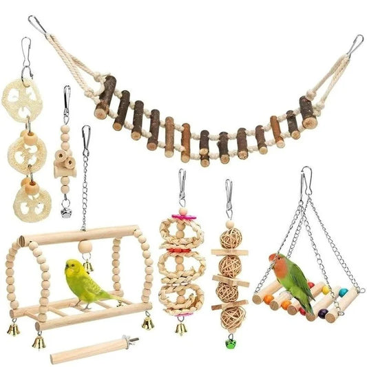 Toys for Parrot Training 