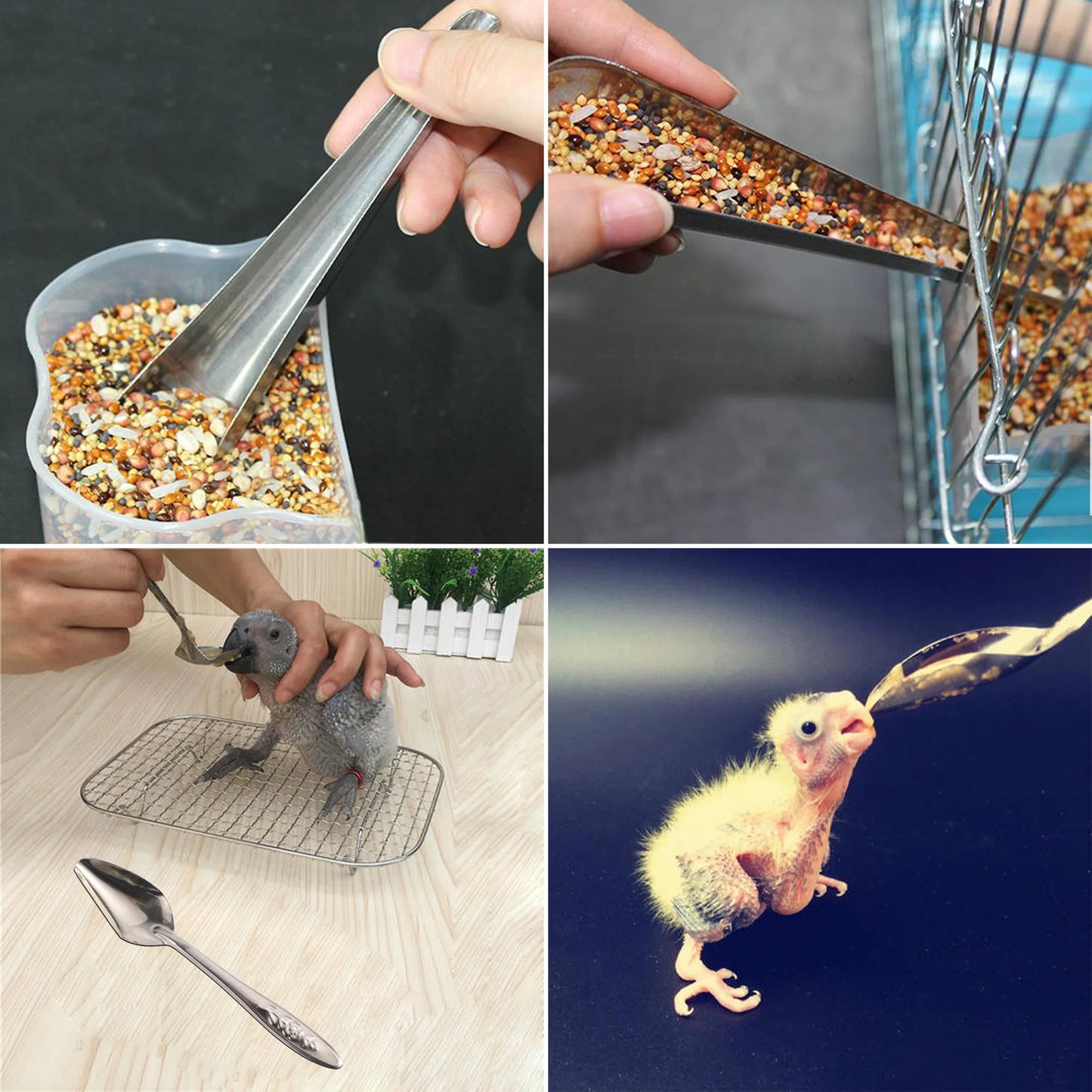 Bird Feeding Spoon 