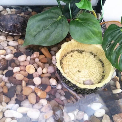 Pet Reptile Feeder Bowl
