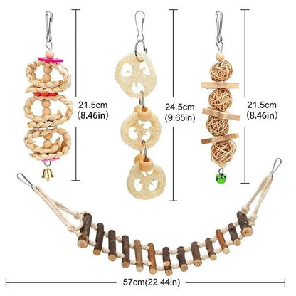 Toys for Parrot Training 