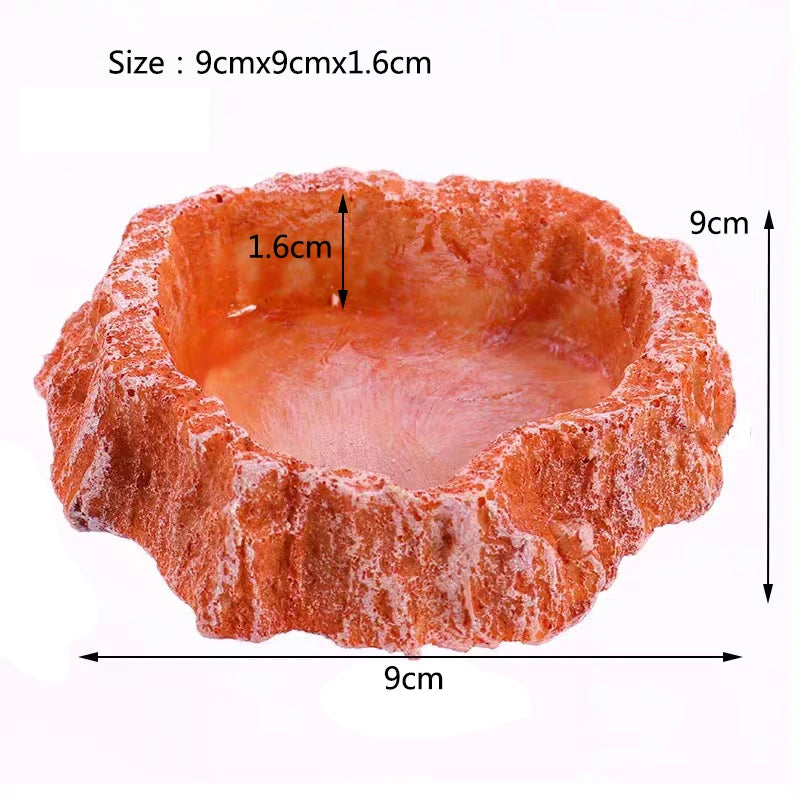 Pet Reptile Feeder Bowl