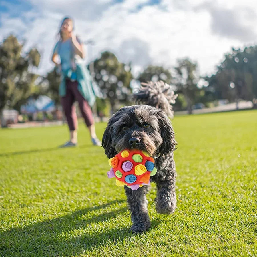 Dog Toy Snuffle Ball 