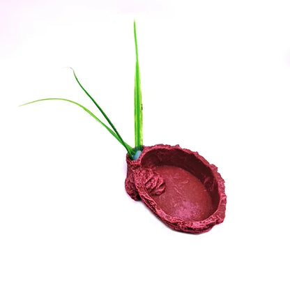Pet Reptile Feeder Bowl