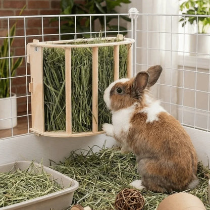 Wooden Hay Feeder for Rabbits & Guinea Pigs — size and fit guide