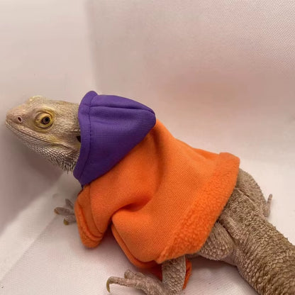 Bearded Dragon Costume 