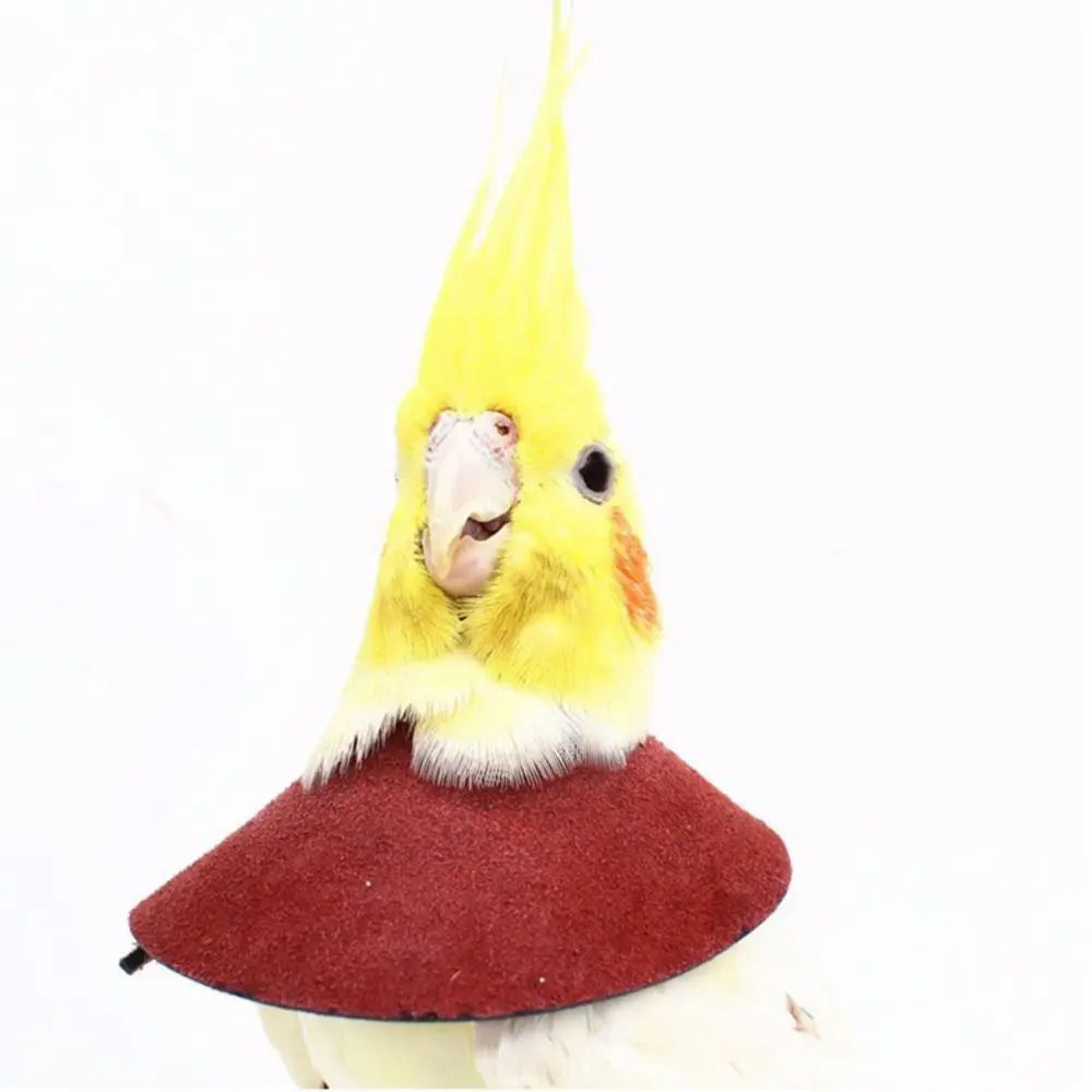 Adjustable Bird Anti-Bite Collar