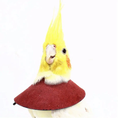 Adjustable Bird Anti-Bite Collar