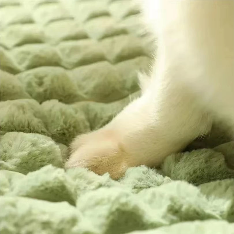 Machine Washable Dog Orthopedic Cushion