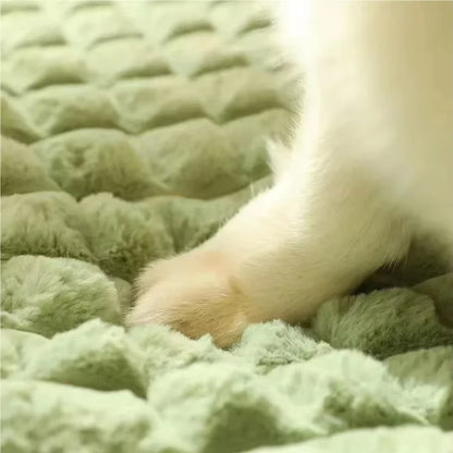 Machine Washable Dog Orthopedic Cushion